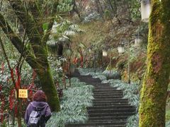 -梦姑塘文化公园