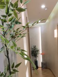 -S庆熙美学皮肤管理