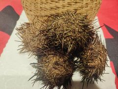 -赶海部落海鲜城(海阳路店)