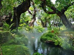 -Chom Cafe and Restaurant