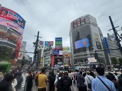 -涩谷区