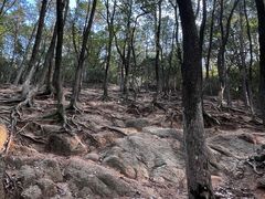 -灵岩山风景区
