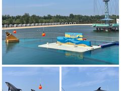 -秦皇岛乐岛海洋王国