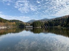 -庐山风景区花径公园