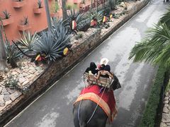 -东芭乐园
