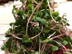 -冶春茶社(太和广场店)