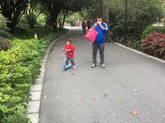 -晓港公园