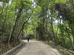-东莞市大岭山森林公园