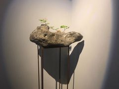 景观位-曲廊院(东四十一条店)