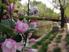 -元大都城垣遗址公园