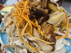 -菌之家·专业纯野生菌火锅·特色炒菌