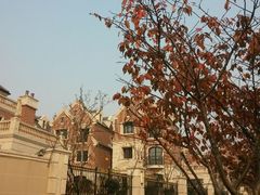 android_upload_pic-新江湾城公园