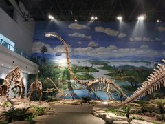 -自贡恐龙博物馆