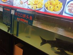 -芙蓉·艳阳餐厅(南口店)