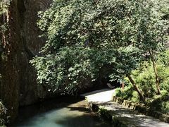 -雁荡山三折瀑景区