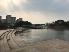 -新江湾城公园