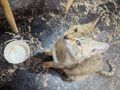 -鱼乐岛餐厅·户外花园主题餐厅