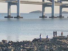 -星海广场