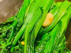 -侨美·唐荔园·40年地道粤菜