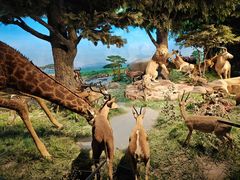 -国家自然博物馆