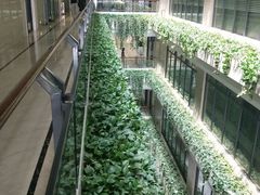 -碧桂园总部大楼
