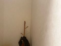 -筋骨堂热敷推拿按摩(翠华路店)