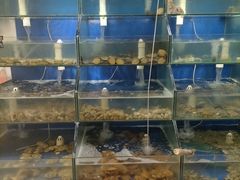 水产区-雅逸居海鲜小厨