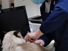 -全心全意连锁动物医院(加州店)