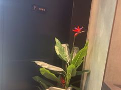 -必胜客(通辽万达店)