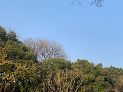 -杭州黄龙洞