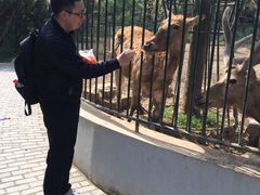 -无锡动物园·太湖欢乐园