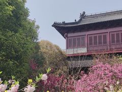 -南汇桃花村