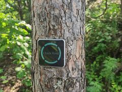 -帽儿山国家森林公园