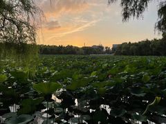 -长春市南湖公园