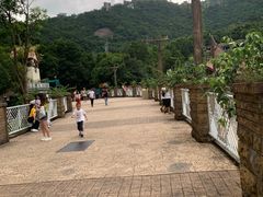 -东部华侨城