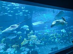 -北戴河圣蓝海洋公园