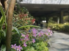 -缘生态云南菜·野生菌庭院餐厅(华侨城店)