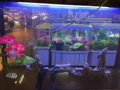 -大自然花鸟鱼虫市场