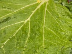 -一桶江山餐厅(松北店)