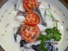 -全乐鱼馆·淳牌有机鱼直营店