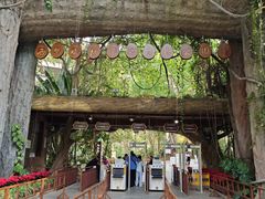 -西双版纳原始森林公园
