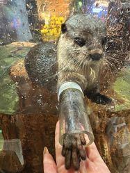 -Zoolung Zoolung动物主题公园(海信广场店)