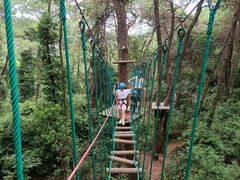 -芦仙山景区-飞越丛林探险乐园