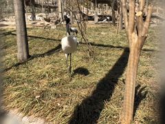 -石家庄市动物园