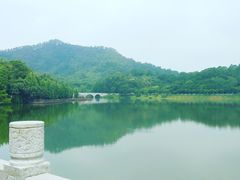 -番禺大夫山森林公园