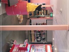 -百好乐宠物友好餐厅(朝外大街店)