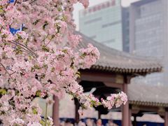 -海棠花溪(元大都城垣遗址公园)