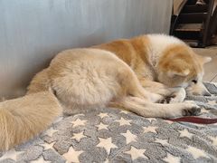 -YCHL Studios健身工作室(市二宫店)