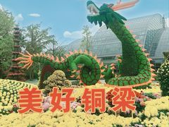 -南山植物园