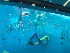 -瑞德姆美人鱼海底演艺主题餐厅(亚龙湾店)